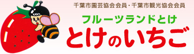 千葉でイチゴ狩りを楽しむなら とけのいちご中村農園