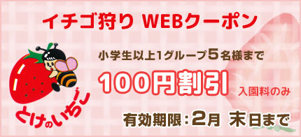 イチゴ狩り WEBクーポン